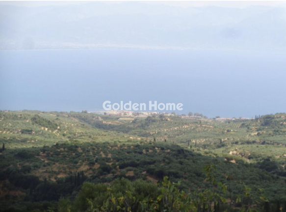 Αγροτεμάχια 38.605 τ.μ. για πώληση, Μεσσηνία, Πεταλίδι