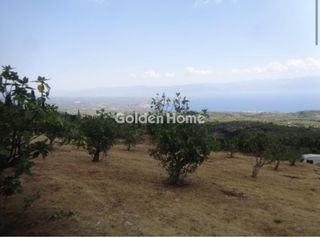Αγροτεμάχια 38.605 τ.μ. για πώληση, Μεσσηνία, Πεταλίδι-thumb-2