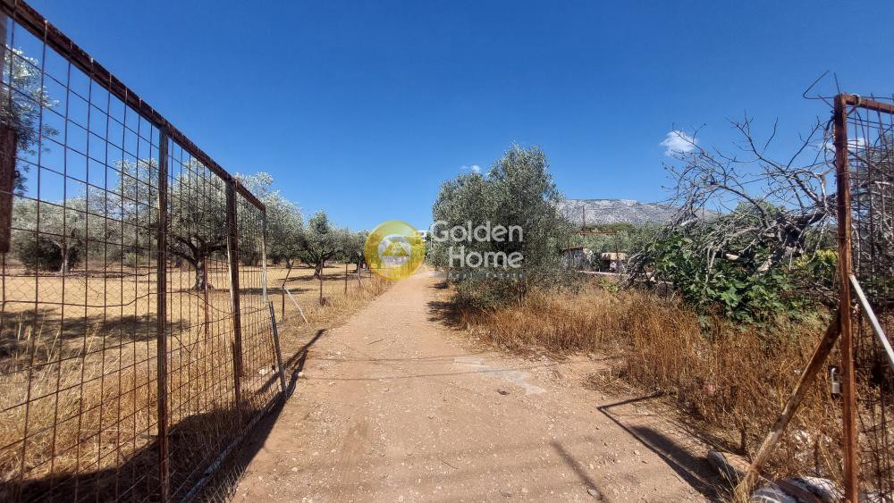 Αποθήκη 217 τ.μ. προς πώληση, Καρελλάς