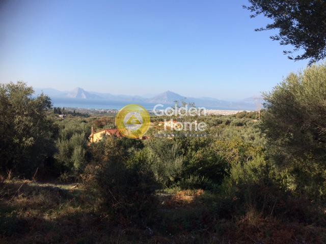 Οικόπεδο 3.570 τ.μ. για πώληση, Αχαΐα, Μεσσατίδα