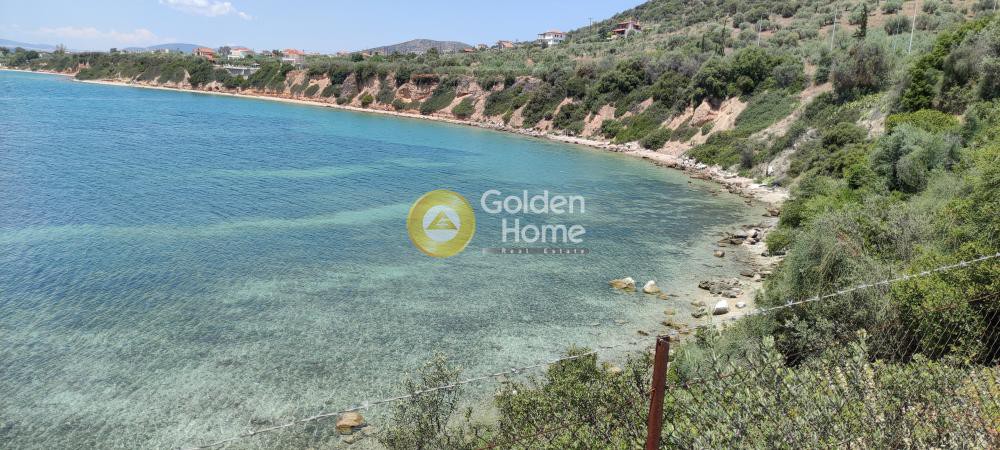 Μονοκατοικία 150 τ.μ. πρός πώληση, Μαγνησία, Νέα Αγχίαλος