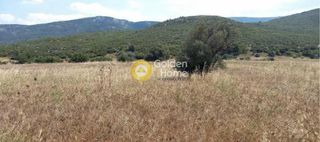 Αγροτεμάχια 9.380 τ.μ. για πώληση
