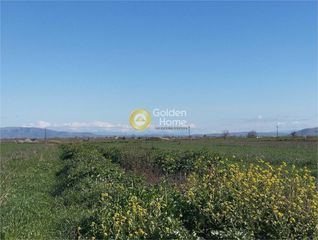 Αγροτεμάχια 9.875 τ.μ. για πώληση