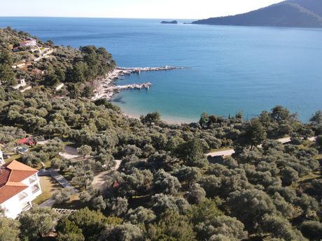 Αγροτεμάχια 225τ.μ. για πώληση-Θάσος » Χρυσή αμμουδιά