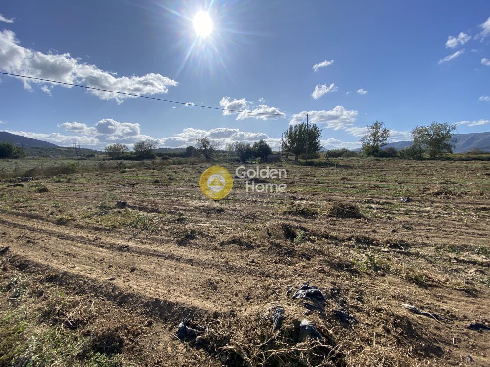 Αγροτεμάχια 1.260 τ.μ. προς ενοικίαση, Εύβοια, Δύστος