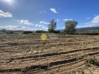 Αγροτεμάχια 1.260 τ.μ. για ενοικίαση, Εύβοια, Δύστος-thumb-8