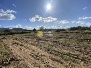 Αγροτεμάχια 1.260 τ.μ. για ενοικίαση, Εύβοια, Δύστος-thumb-7