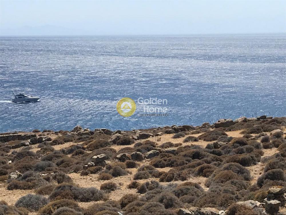Οικόπεδο 8.000 τ.μ. προς πώληση, Πλιντρί