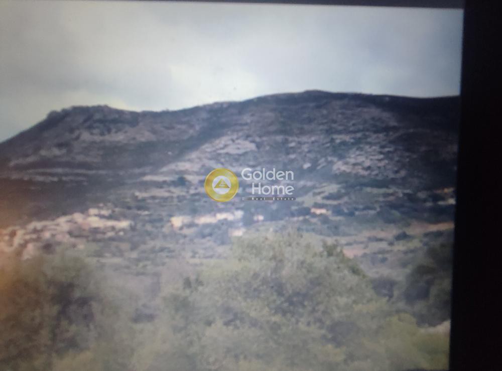 Οικόπεδο 940 τ.μ. για πώληση, Εύβοια, Στύρα