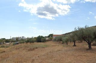 Αγροτεμάχια 5.077 τ.μ. για πώληση