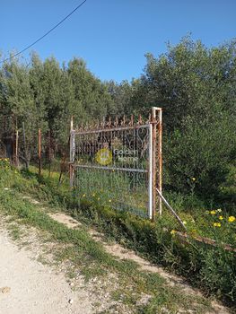 Αγροτεμάχια 461 τ.μ. για πώληση