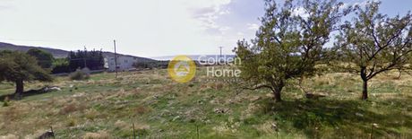 Land plot 4.000 sqm for sale