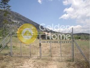 Land plot 4.500 sqm for sale, Athens - East, Paiania
