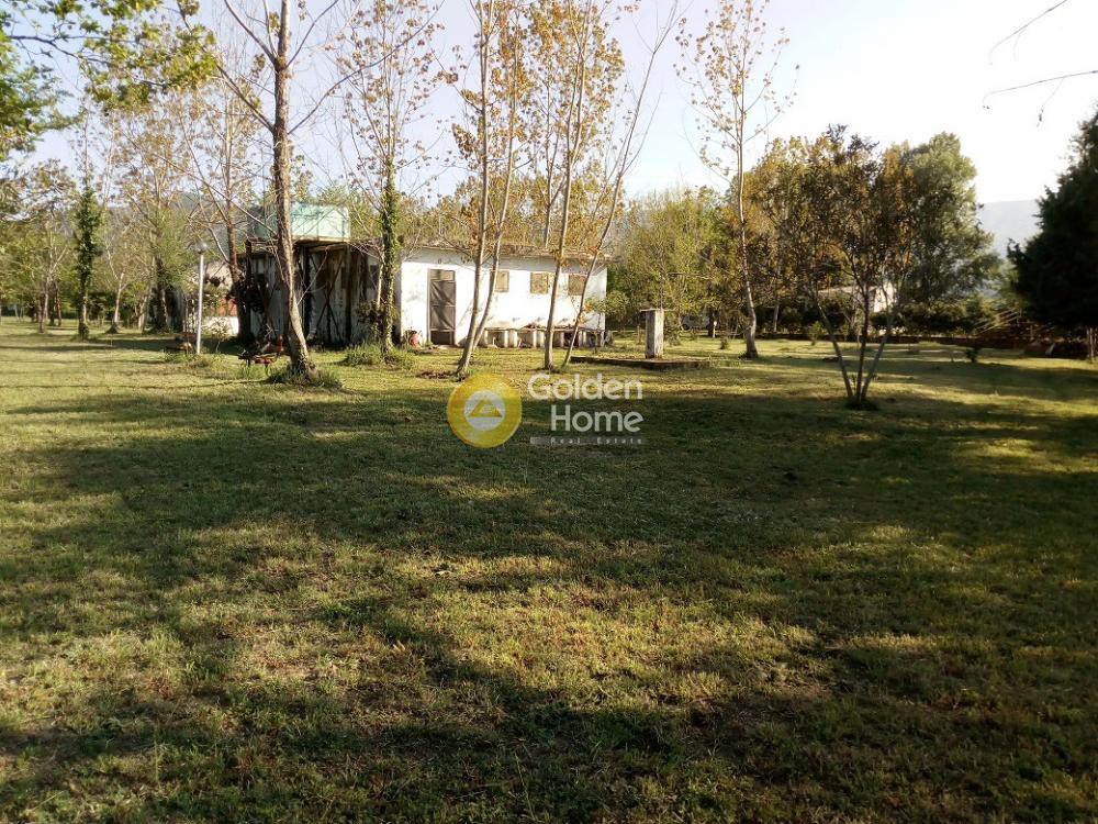 Αγροτεμάχια 4.500 τ.μ. προς πώληση, Ολυμπιάδα Χαλκιδικής