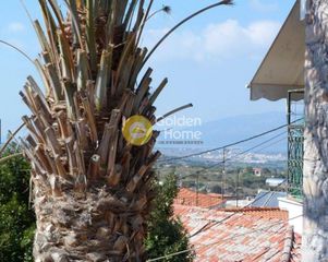 Μονοκατοικία 263 τ.μ. προς πώληση, Κάμπος Κρανιδίου-thumb-9