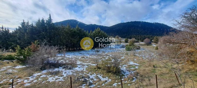 Αγροτεμάχια 4.057 τ.μ. για πώληση, Φωκίδα, Δελφοί