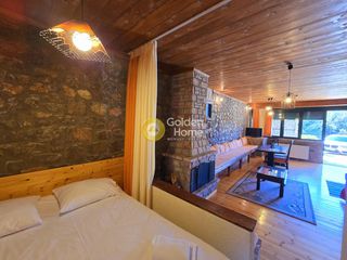 Studio / γκαρσονιέρα 55 τ.μ. για ενοικίαση, Βοιωτία, Αράχοβα-thumb-3