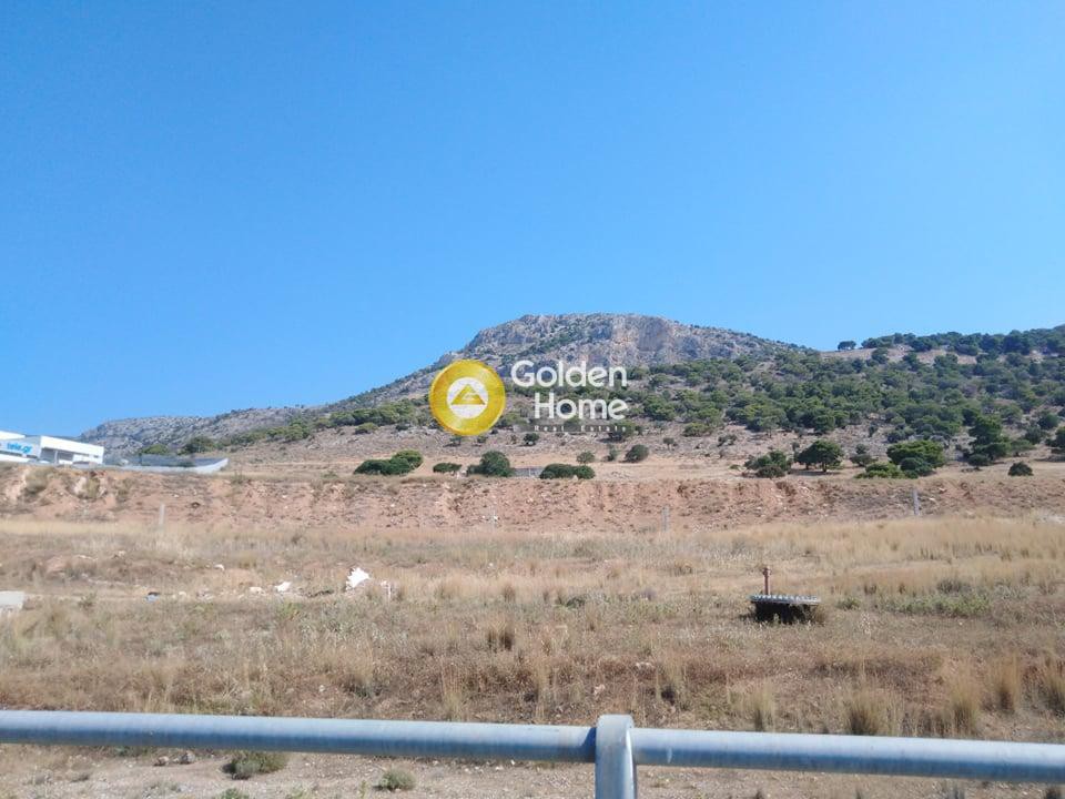 Αγροτεμάχια 22.000 τ.μ. προς ενοικίαση, Αττική - Υπόλοιπο, Ασπρόπυργος