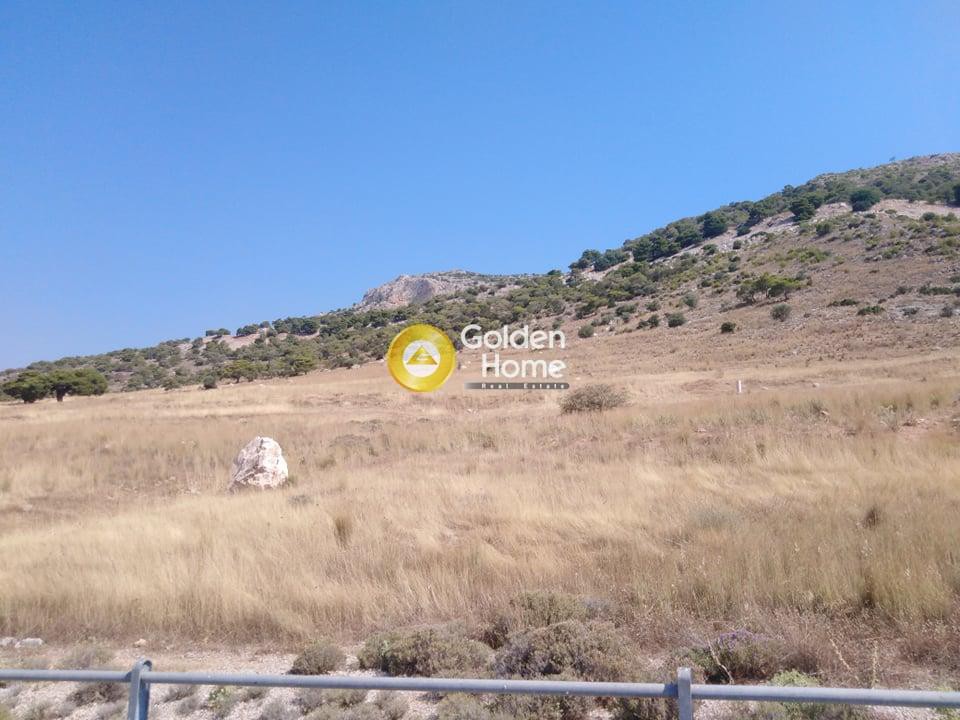 Αγροτεμάχια 22.000 τ.μ. προς ενοικίαση, Αττική - Υπόλοιπο, Ασπρόπυργος