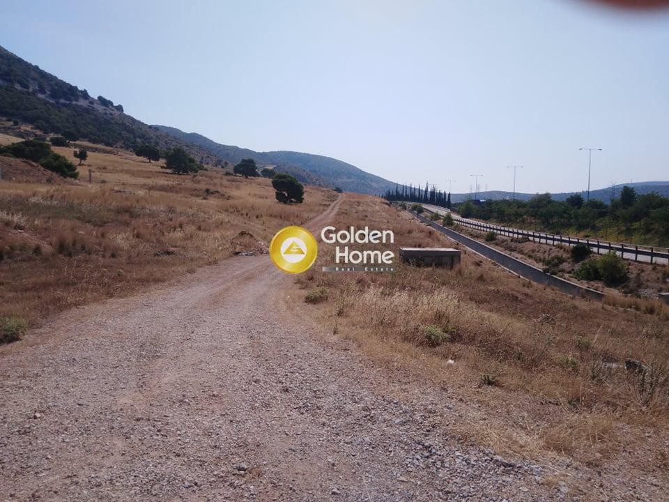 Αγροτεμάχια 22.000 τ.μ. προς ενοικίαση, Αττική - Υπόλοιπο, Ασπρόπυργος