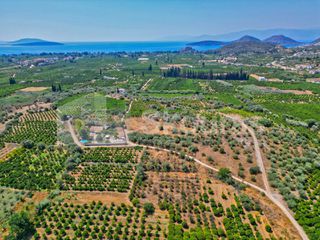 Αγροτεμάχια 2.745 τ.μ. για πώληση, Αργολίδα, Ασίνη-thumb-19