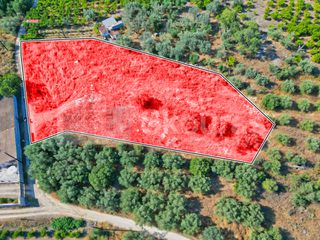 Αγροτεμάχια 2.745 τ.μ. για πώληση, Αργολίδα, Ασίνη-thumb-1
