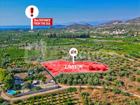 Αγροτεμάχια 2.745τ.μ. για πώληση-Ασίνη