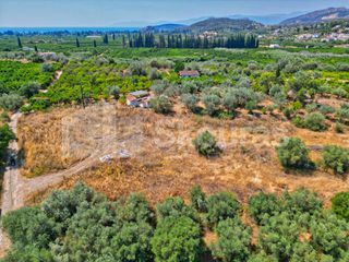 Αγροτεμάχια 2.745 τ.μ. για πώληση, Αργολίδα, Ασίνη-thumb-12
