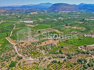 Αγροτεμάχια 2.745 τ.μ. για πώληση, Αργολίδα, Ασίνη-thumb-24