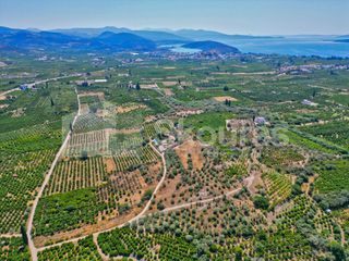 Αγροτεμάχια 2.745 τ.μ. για πώληση, Αργολίδα, Ασίνη-thumb-22