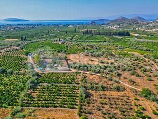 Αγροτεμάχια 2.745 τ.μ. για πώληση, Αργολίδα, Ασίνη-thumb-8