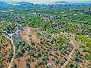 Αγροτεμάχια 2.745 τ.μ. για πώληση, Αργολίδα, Ασίνη-thumb-9