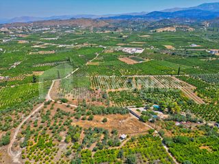 Αγροτεμάχια 2.745 τ.μ. για πώληση, Αργολίδα, Ασίνη-thumb-23