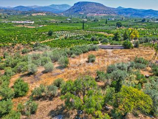 Αγροτεμάχια 2.745 τ.μ. για πώληση, Αργολίδα, Ασίνη-thumb-15