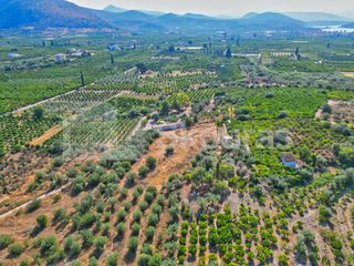 Αγροτεμάχια 2.745 τ.μ. για πώληση, Αργολίδα, Ασίνη-thumb-10