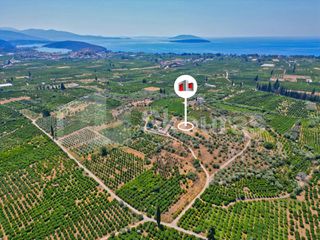 Αγροτεμάχια 2.745 τ.μ. για πώληση, Αργολίδα, Ασίνη-thumb-2