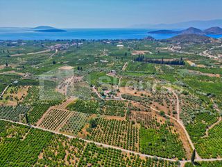 Αγροτεμάχια 2.745 τ.μ. για πώληση, Αργολίδα, Ασίνη-thumb-21