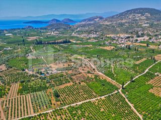 Αγροτεμάχια 2.745 τ.μ. για πώληση, Αργολίδα, Ασίνη-thumb-20
