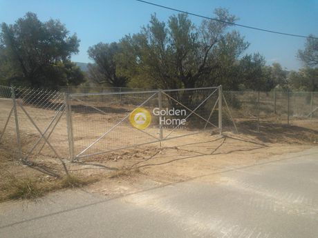 Οικόπεδο 16.875 τ.μ. για πώληση