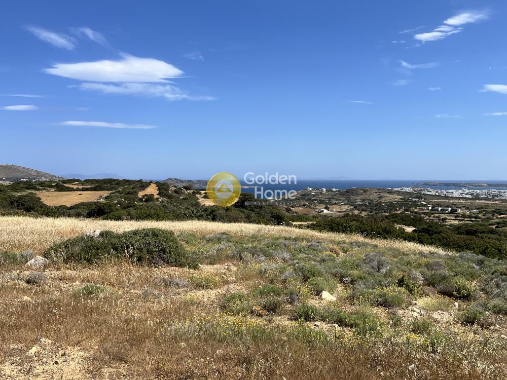 Αγροτεμάχια 16.530 τ.μ. προς πώληση, Άγιος Ανδρέας Πάρου