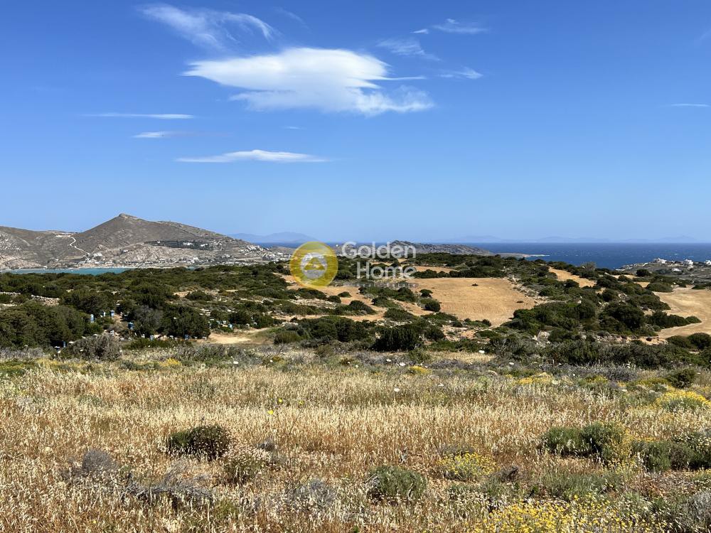Αγροτεμάχια 16.530 τ.μ. προς πώληση, Άγιος Ανδρέας Πάρου