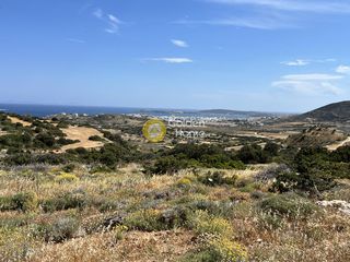 Αγροτεμάχια 16.530 τ.μ. για πώληση