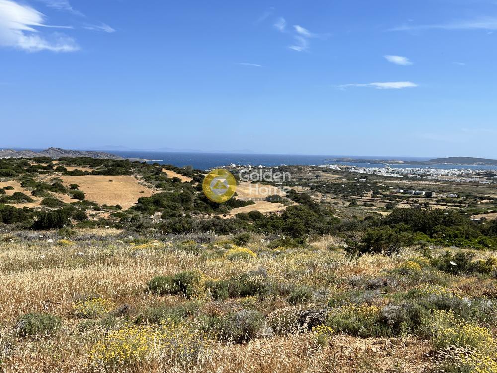 Αγροτεμάχια 16.530 τ.μ. προς πώληση, Άγιος Ανδρέας Πάρου