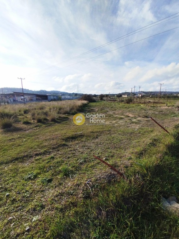 Αγροτεμάχια 5.000 τ.μ. προς ενοικίαση, Αττική - Υπόλοιπο, Καλύβια Θορικού