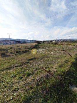 Parcel 5.000 sqm for rent