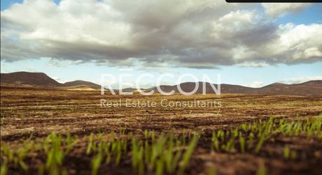 Parcel 5.000sqm for sale-Thiva » Mouriki