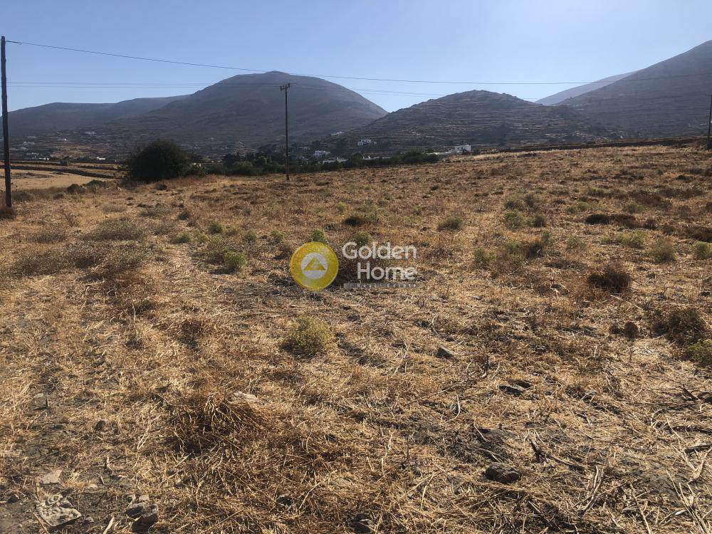 Οικόπεδο 12.320 τ.μ. προς πώληση, Παράσπορος