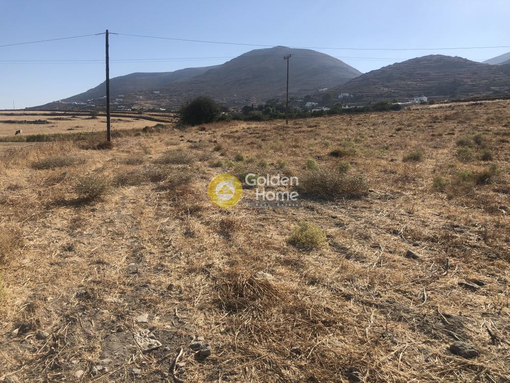 Οικόπεδο 12.320 τ.μ. προς πώληση, Παράσπορος