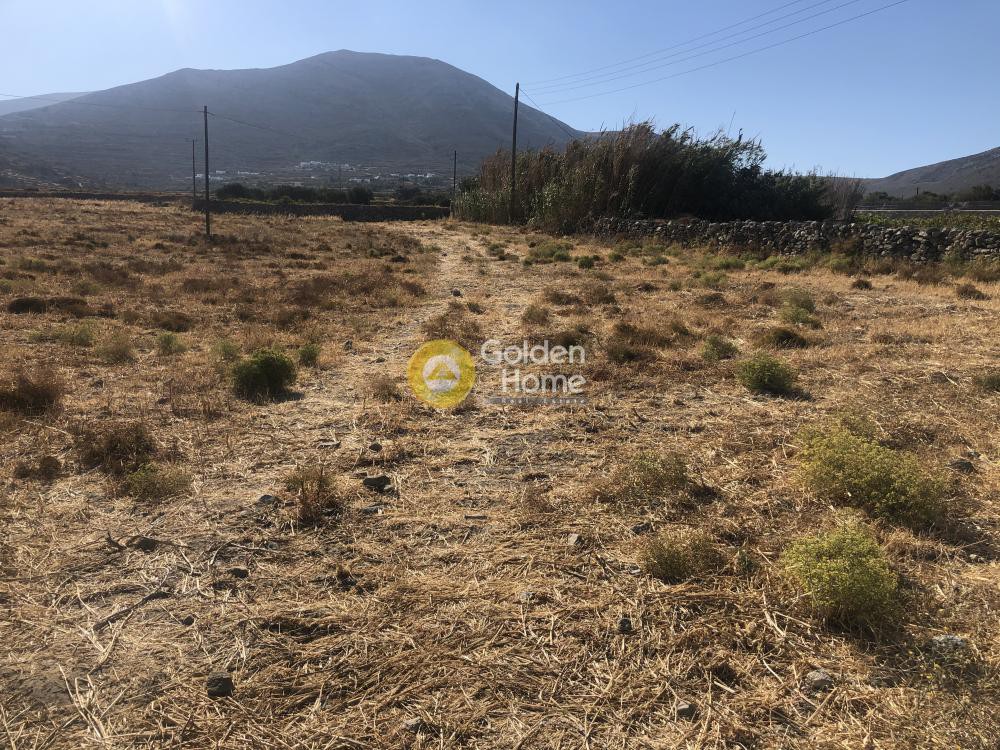 Οικόπεδο 12.320 τ.μ. προς πώληση, Παράσπορος