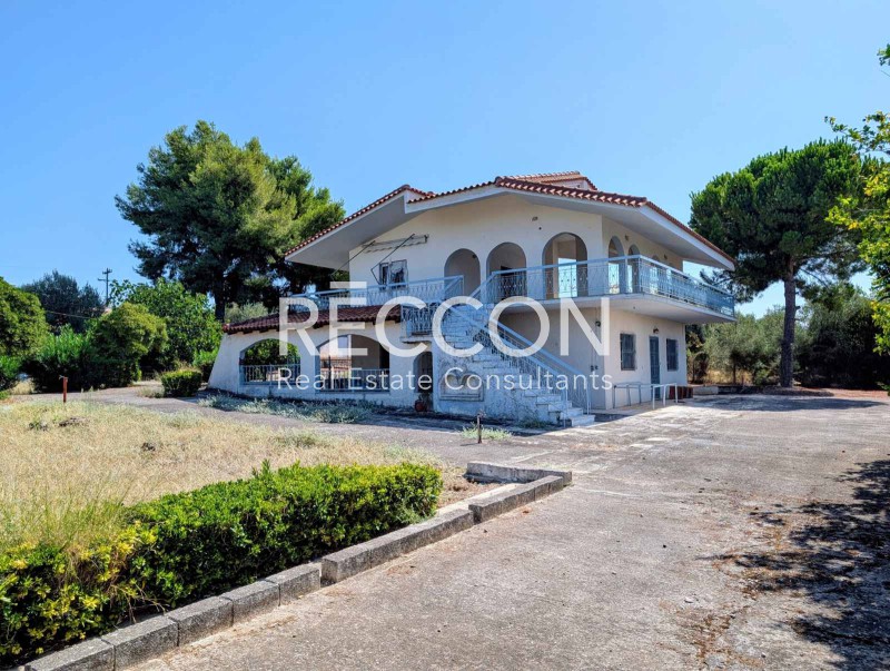 Μονοκατοικία 120 τ.μ. πρός πώληση, Φθιώτιδας, Μαλεσίνα